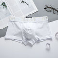New Men's Purified Cotton Underwear Low Waist Sexy Breathable Comfortable Solid Color