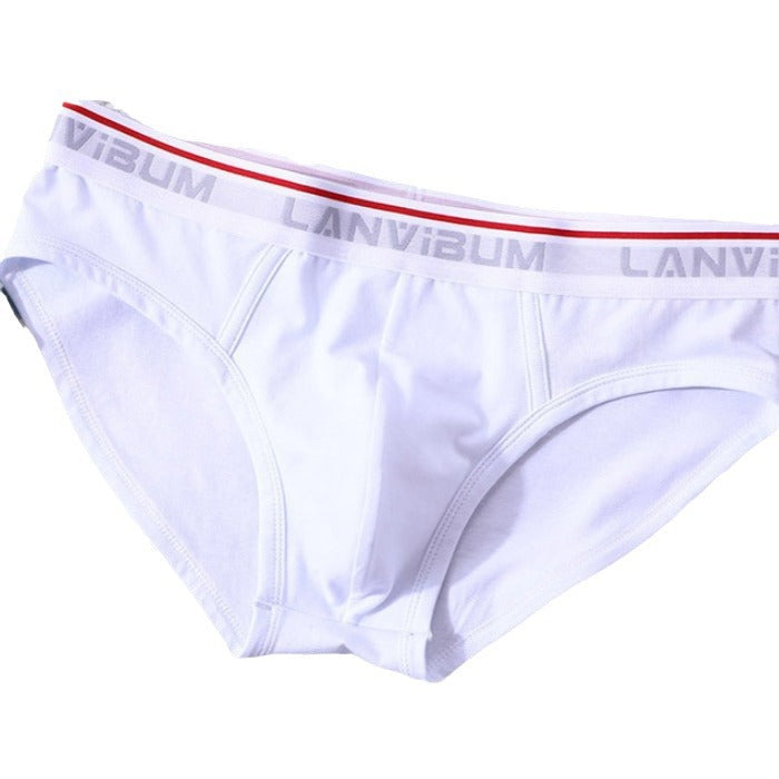Briefs Men's Modal Mid-waist