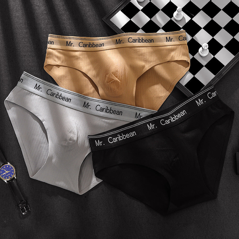 Men's Mid-waist Sports Style With Letters Heavy Soft Brushed 3D Pouch One-piece Briefs Underwear