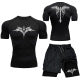 Men's Sportswear Quick Dry Workout Shorts