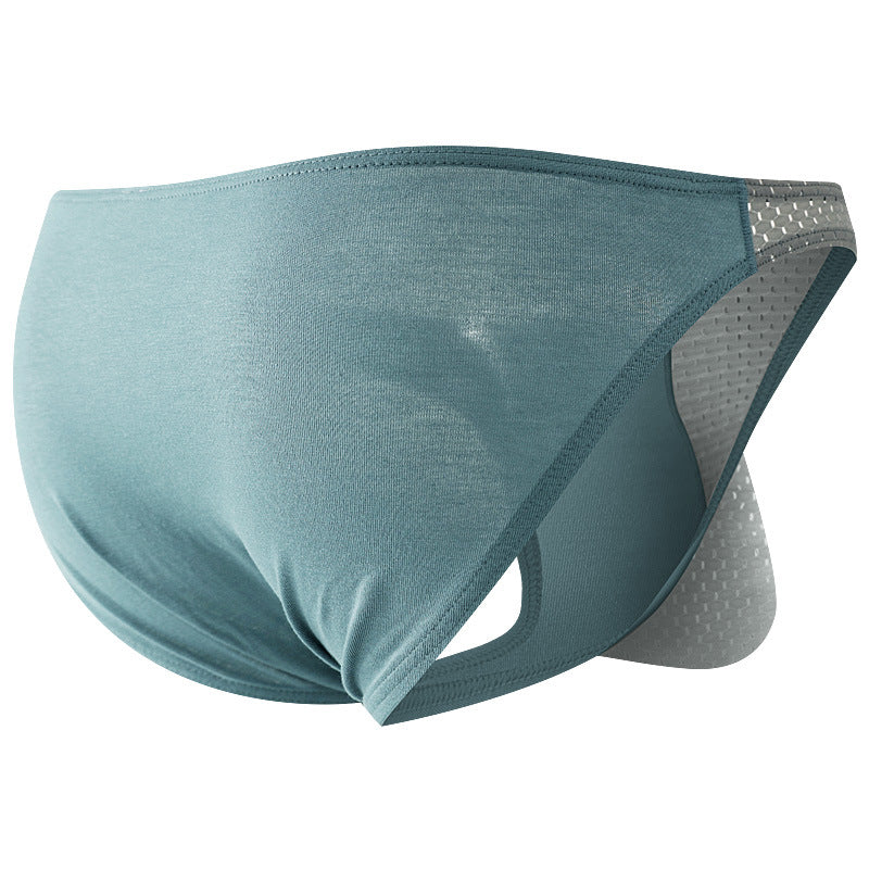 Men's Briefs Sexy Mesh Underwear