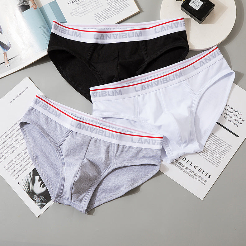 Briefs Men's Modal Mid-waist