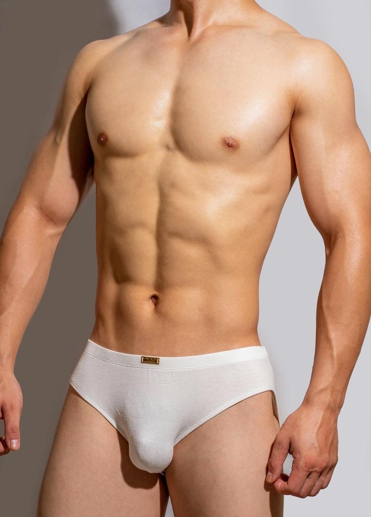 Simple Metal Label Briefs Men's Underwear