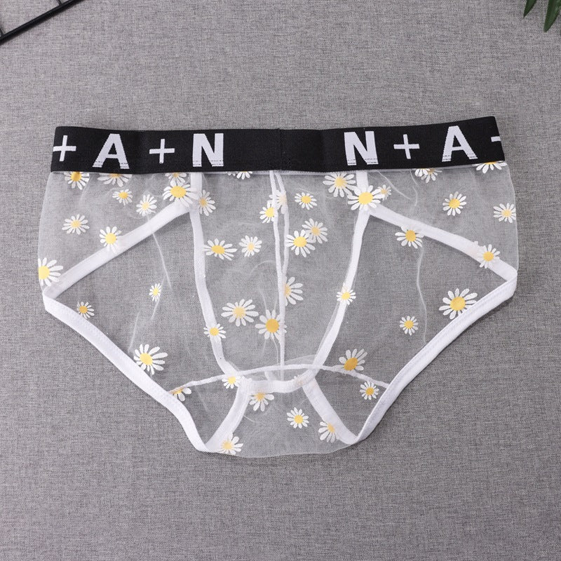 Men's Underwear Mesh See Through Breathable Sexy Briefs