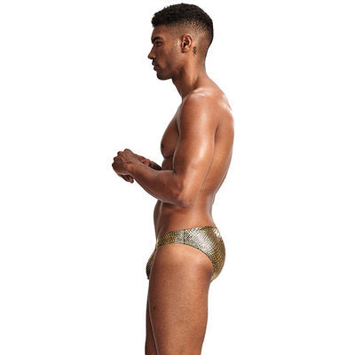 Shiny low-waist serpentine panties