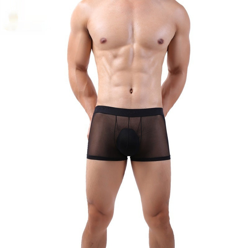 Men's Boxer Shorts Mesh Four-corner Transparent Thin