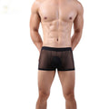 Men's Boxer Shorts Mesh Four-corner Transparent Thin