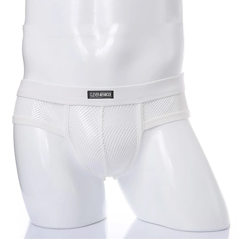 Mens Mesh Briefs Sexy Low-rise Design New Style