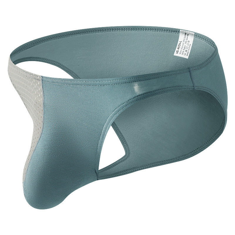 Men's Briefs Sexy Mesh Underwear