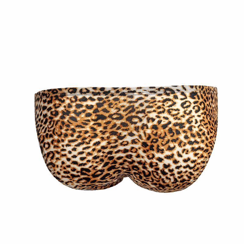 Men's Underwear Leopard Briefs Fashion Wild Men's Underwear Mesh Breathable Tide