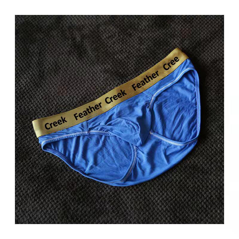 Men's Briefs Thong Big Bag Underwear