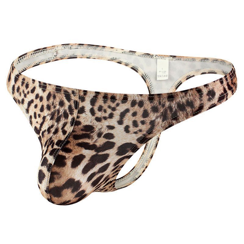 Men's Underwear Low Waist Nylon Boys Big Pouch U Convex Sexy Men's Panties