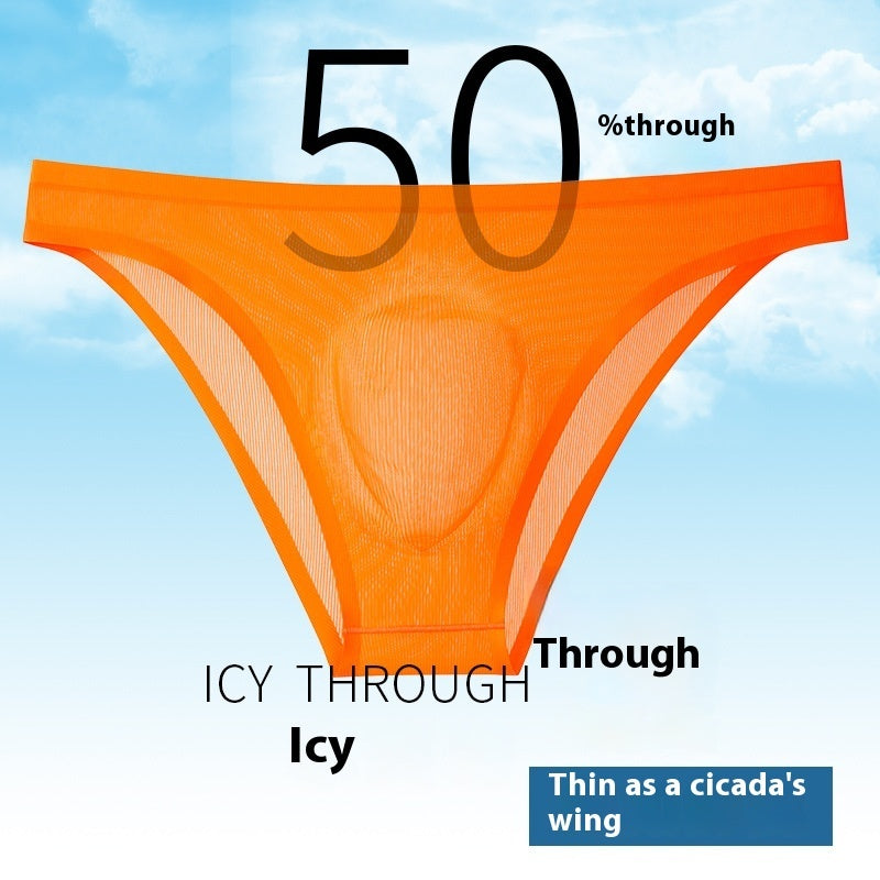 Ultra-thin Thread Ice Silk Low Waist Sexy Panties