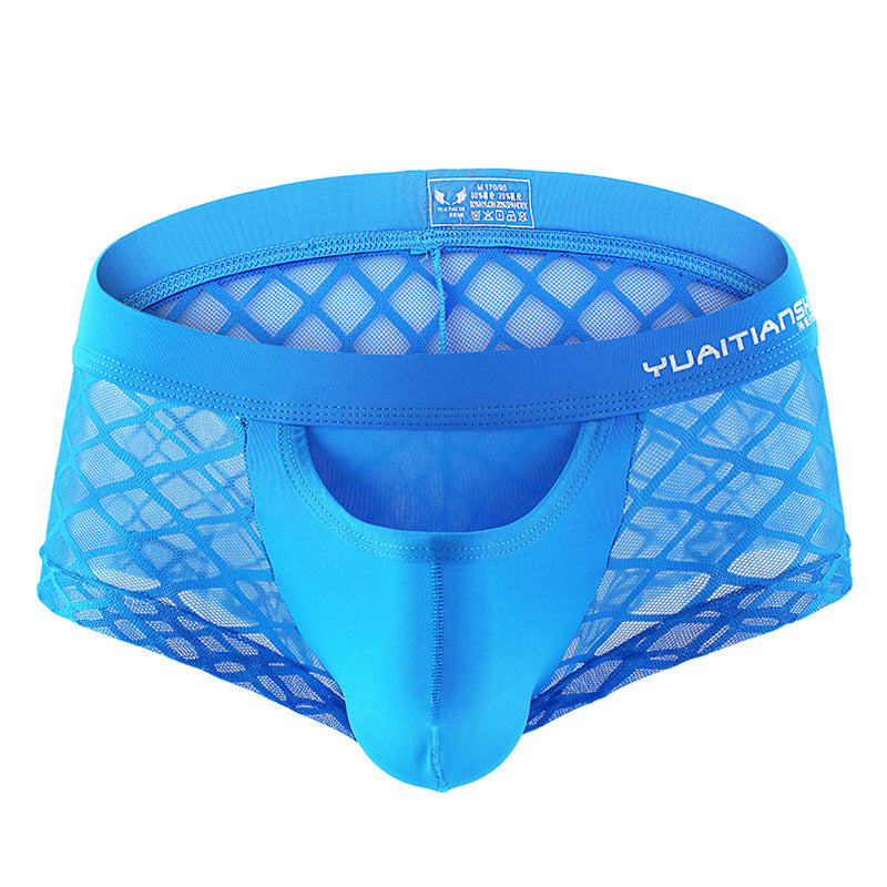 Men's Underwear Breathable Sexy Nylon Mesh Underwear Youth Boxer Briefs