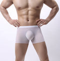 Men's Underwear Boxer Briefs Pouch Mesh Seamless Quick-drying Breathable
