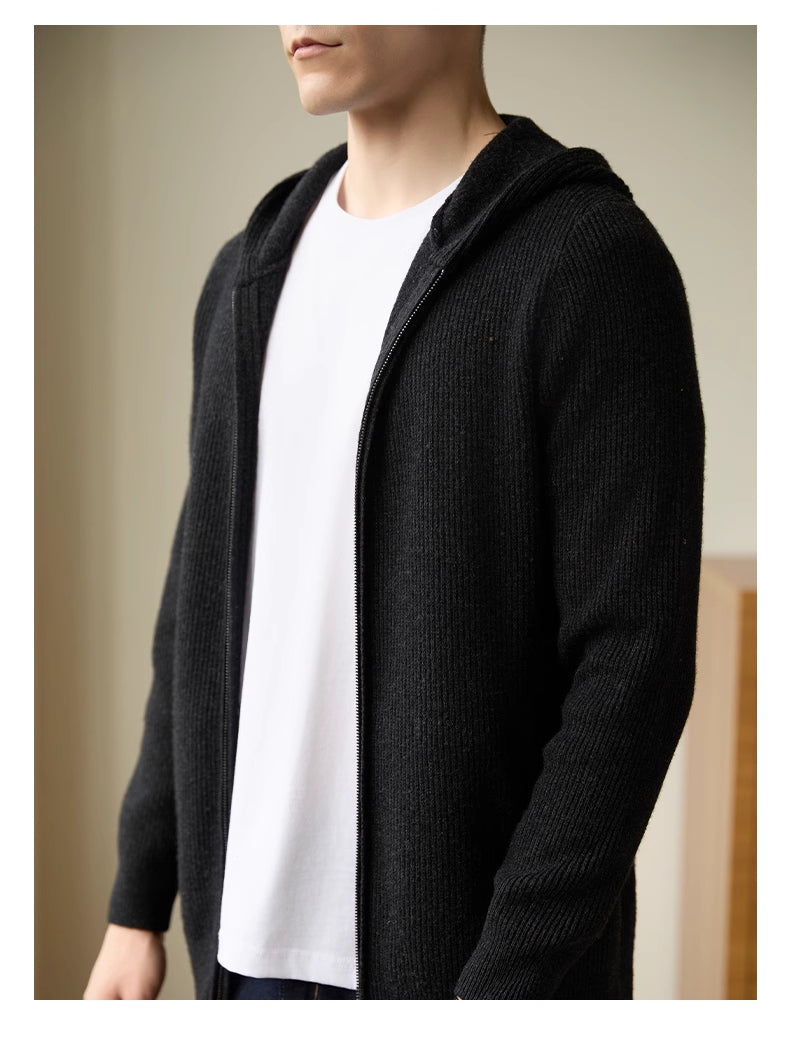 Men's 100 Pure Wool Hooded Cardigan New Autumn And Winter Sweaters