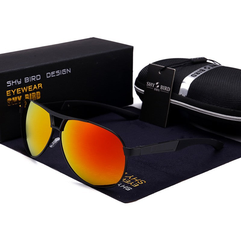 Men's Polarized Sunglasses HD