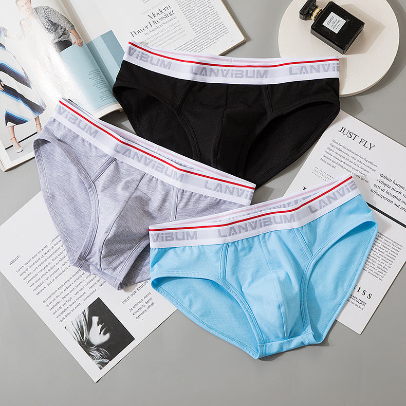 Briefs Men's Modal Mid-waist