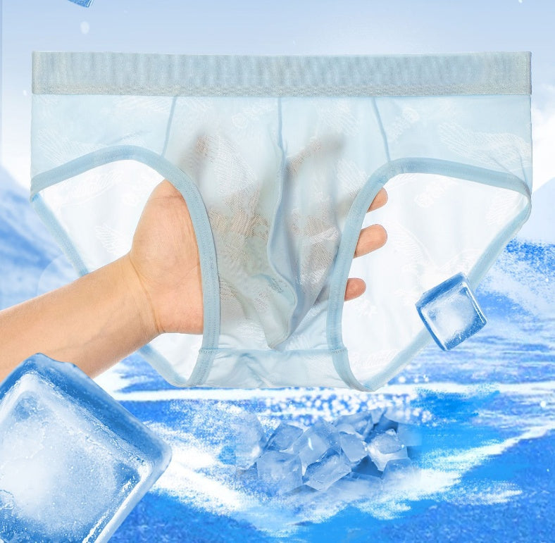 Men's Briefs Thin Ice Silk Jacquard Transparent Underwear