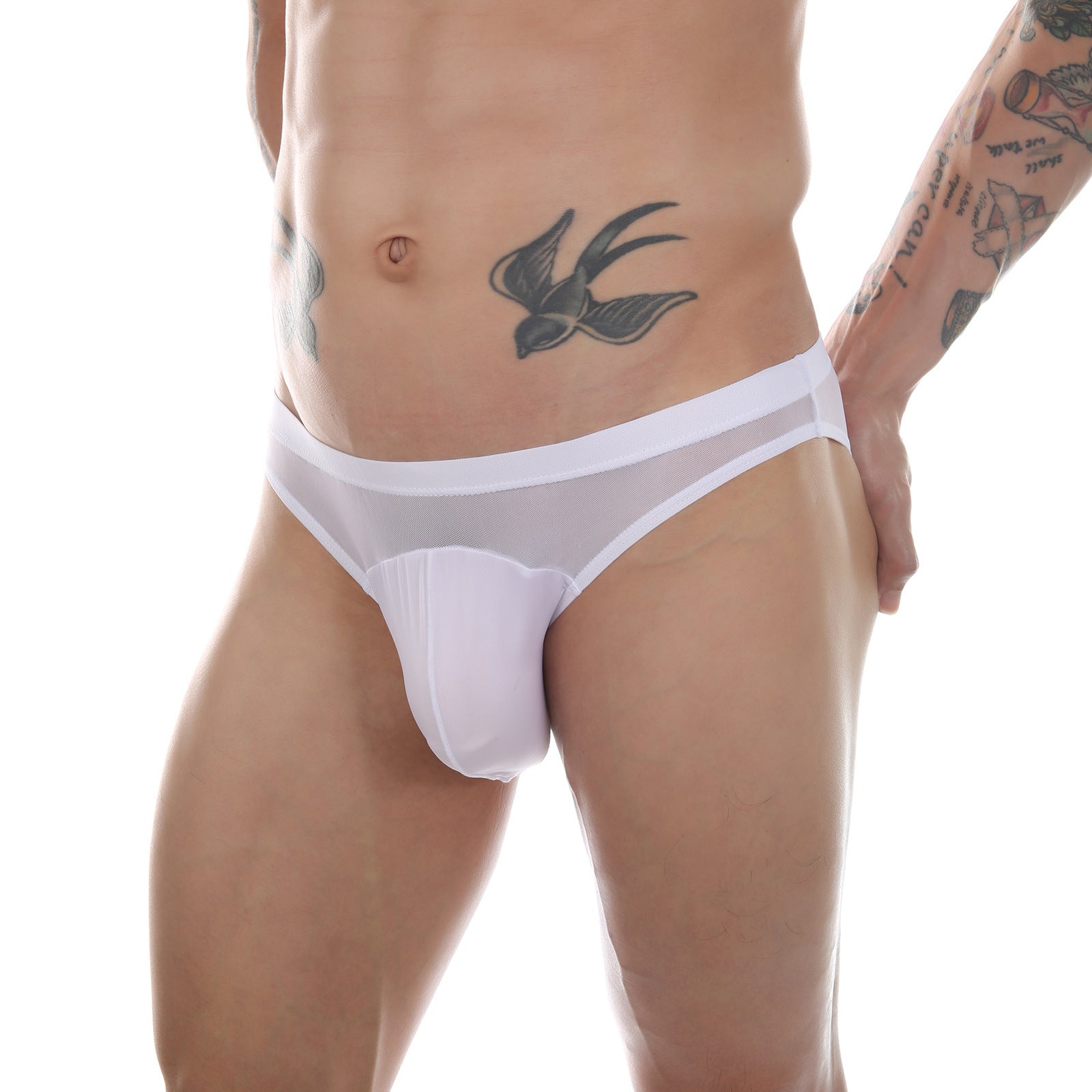 Mens Mesh Sheer Briefs With A Faux Pouch