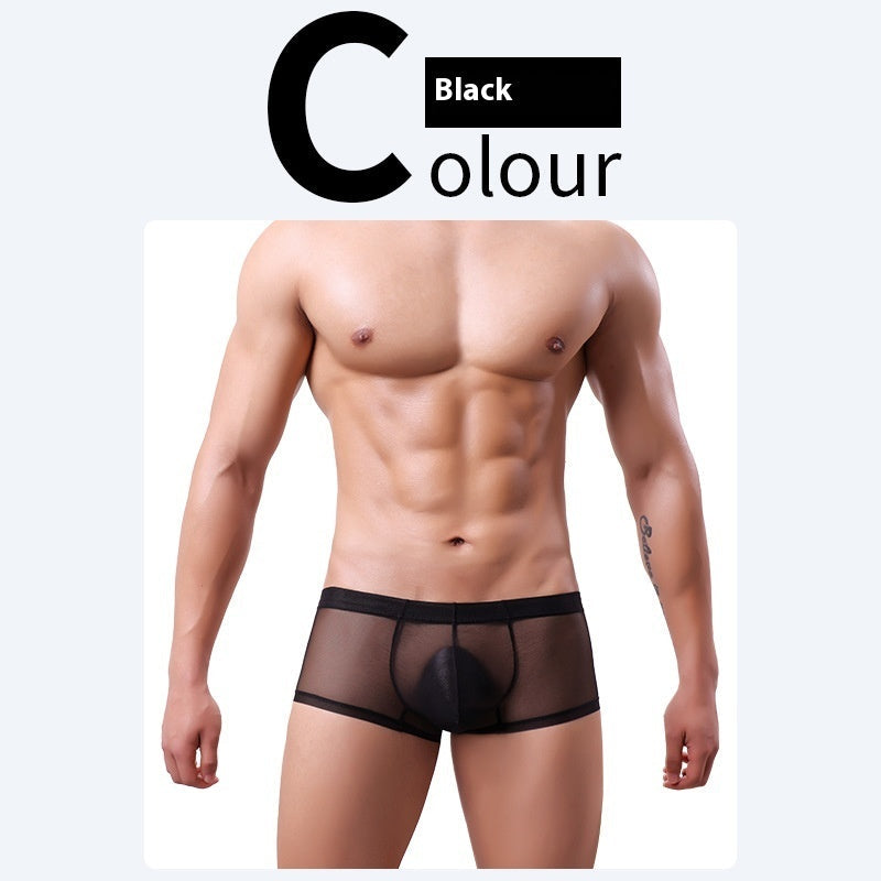 Men's 20D Ice Silk Net Yarn Underwear Thin