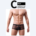 Men's 20D Ice Silk Net Yarn Underwear Thin