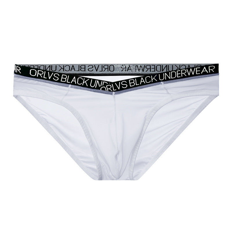 New Men's V-shaped Low Waist Transparent Thin Briefs