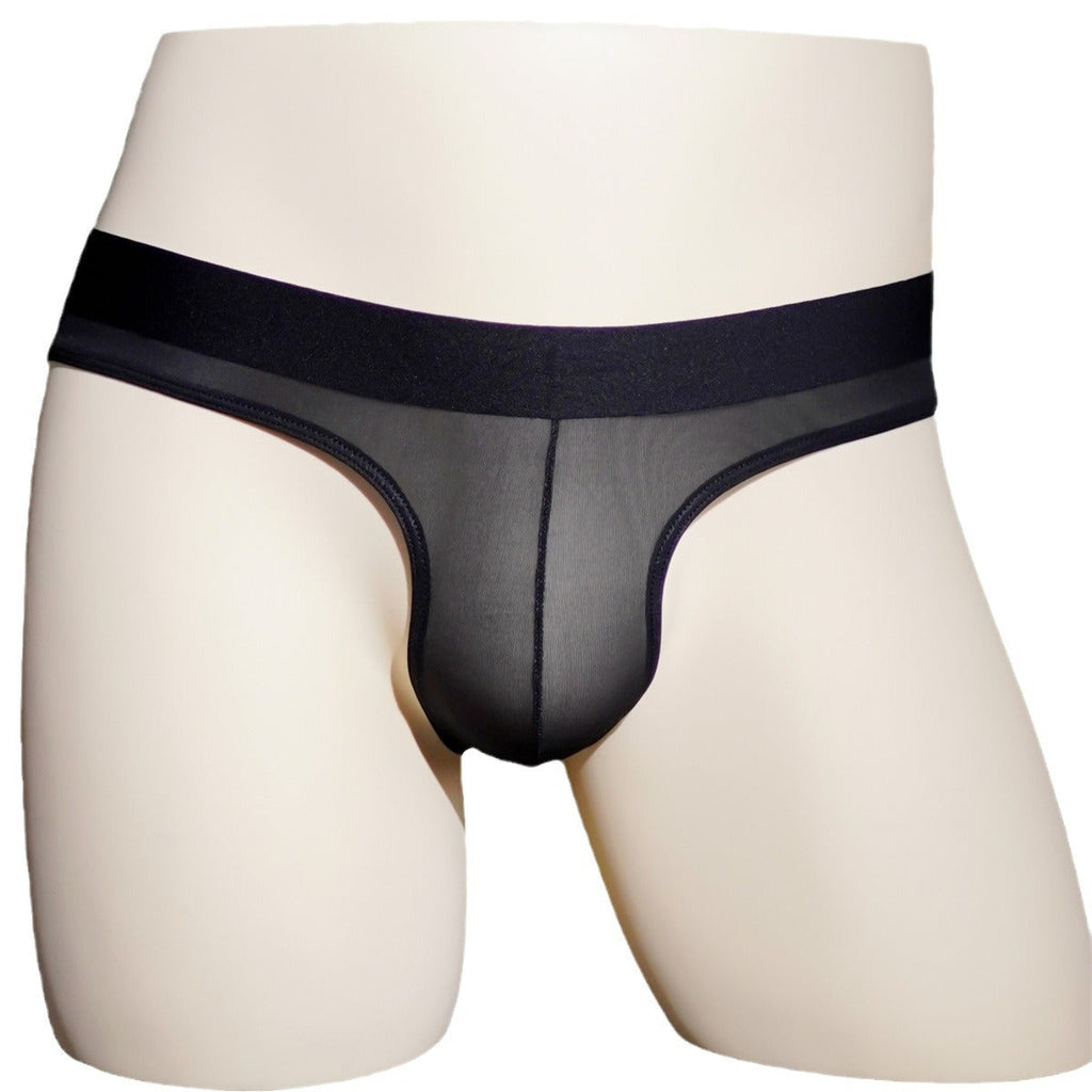 Ultra-Thin Shiny See-through Briefs Men's Underwear