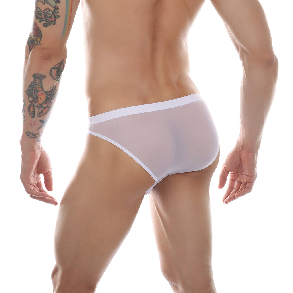 Mens Mesh Sheer Briefs With A Faux Pouch
