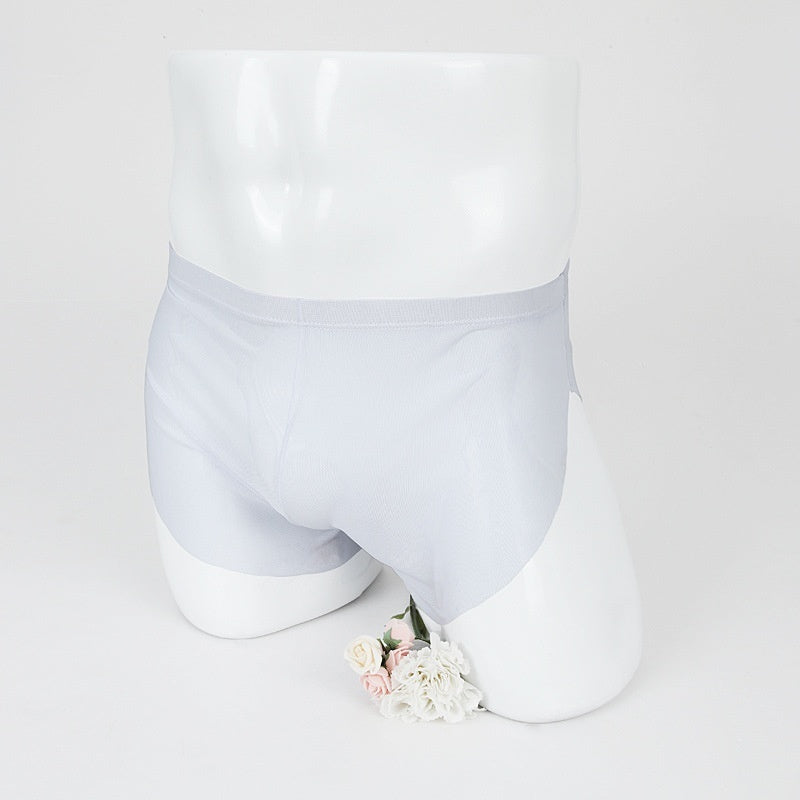 Men's Boxer Briefs Sexy Thin Mesh Sports Pants