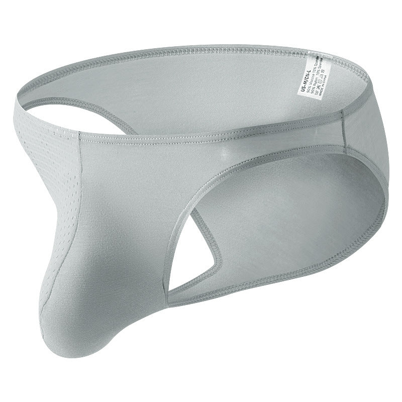 Men's Briefs Sexy Mesh Underwear