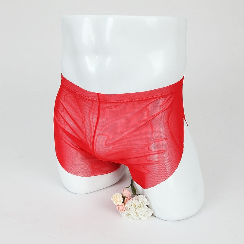 Men's Boxer Briefs Sexy Thin Mesh Sports Pants