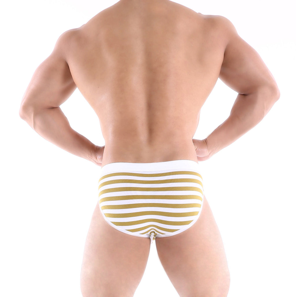 Men's Cotton Low Waist Striped Underwear Panties