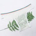 Men's Briefs Mesh Panties