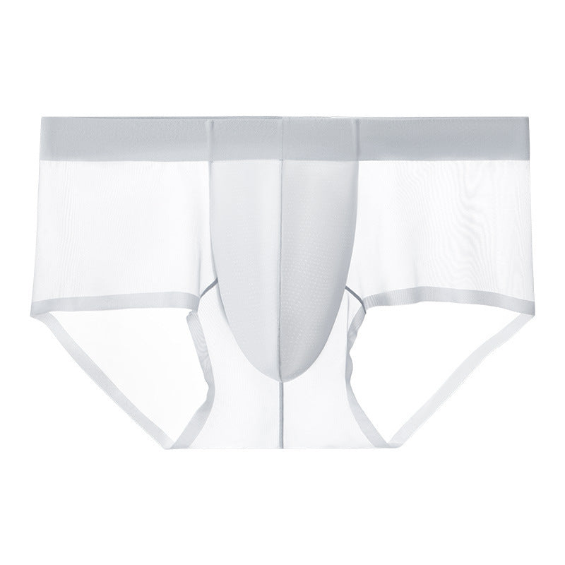 Ice Silk Underwear Men's Summer Thin Fully Transparent Briefs