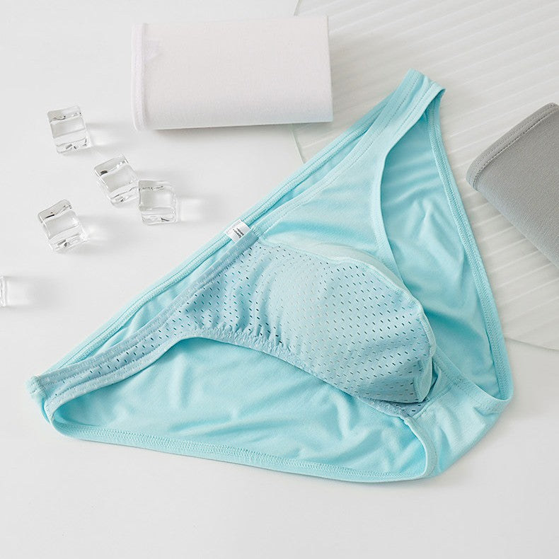 Men's Briefs Sexy Mesh Underwear