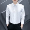 Summer Men's Casual Long-sleeved Striped Shirt